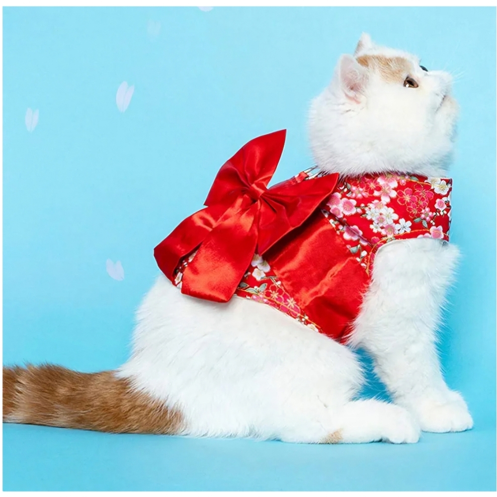 Red Floral Bow Cat/Small Dog Kimono Harness with Matching Leash